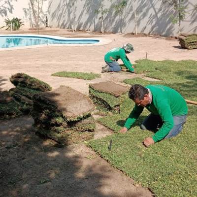 Instalación de pasto