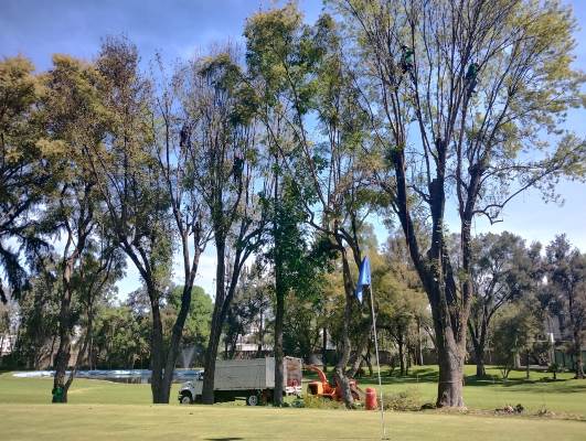 Jardinería profesional en Jalisco