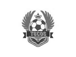 logo Tecos